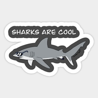 Sharks are Cool Sticker